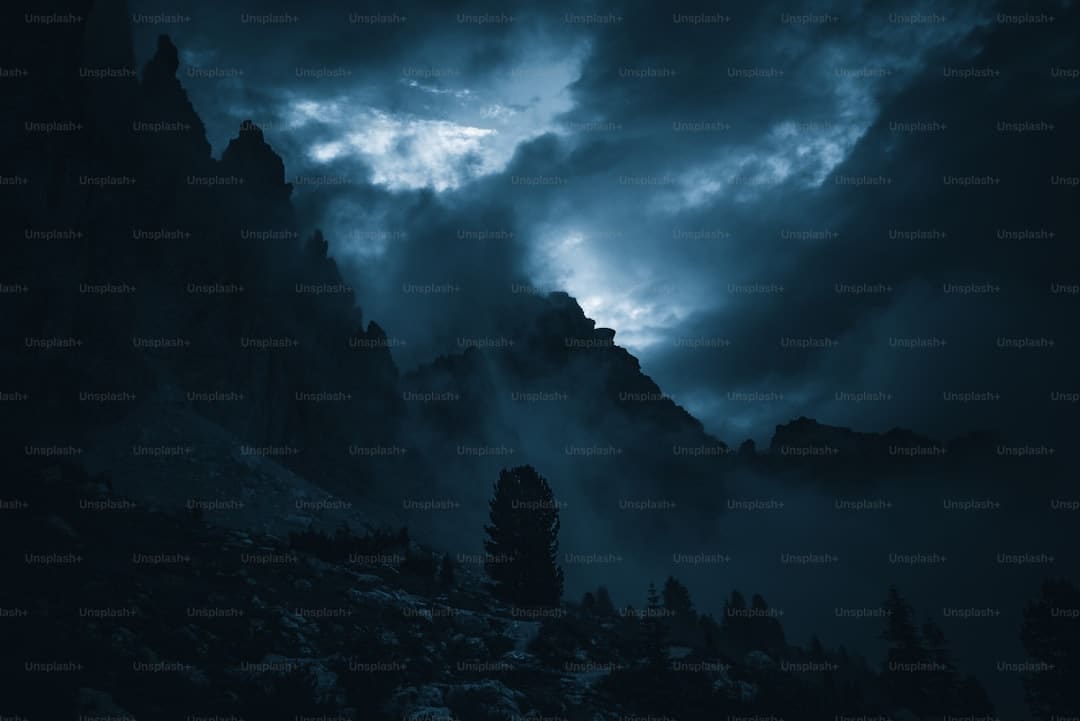 鹿晗什么梗